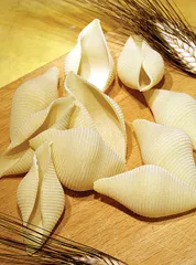 conchiglioni: 2. obrázek